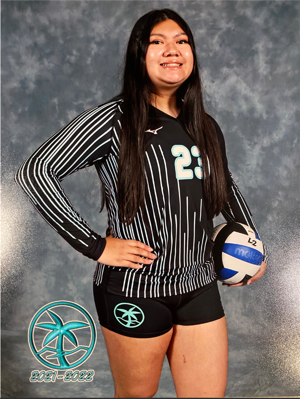 Volleyball picture